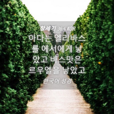Picture 04 - 창세기 36:4 KOR - 아다는 엘리바스를 에서에게 낳았고 - Bible Verse Picture