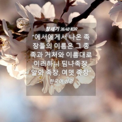 Picture 04 - 창세기 36:40 KOR - 