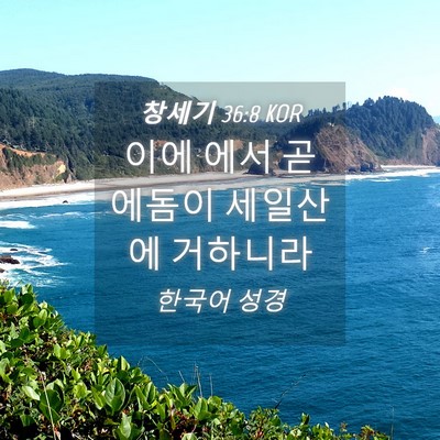 Picture 04 - 창세기 36:8 KOR - 이에 에서 곧 에돔이 세일산에 - Bible Verse Picture
