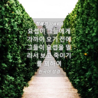 Picture 04 - 창세기 37:18 KOR - 요셉이 그들에게 가까이 오기 전에 - Bible Verse Picture