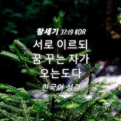 Picture 04 - 창세기 37:19 KOR - 서로 이르되 꿈 꾸는 자가 - Bible Verse Picture
