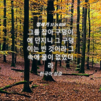 Picture 04 - 창세기 37:24 KOR - 그를 잡아 구덩이에 던지니 그 - Bible Verse Picture
