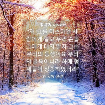 Picture 04 - 창세기 37:27 KOR - 