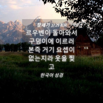 Picture 04 - 창세기 37:29 KOR - 르우벤이 돌아와서 구덩이에 이르러 - Bible Verse Picture