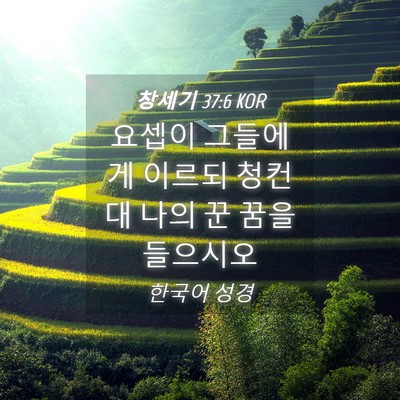 Picture 04 - 창세기 37:6 KOR - 요셉이 그들에게 이르되 청컨대 나의 - Bible Verse Picture