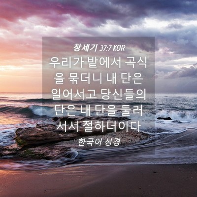 Picture 04 - 창세기 37:7 KOR - 우리가 밭에서 곡식을 묶더니 내 - Bible Verse Picture