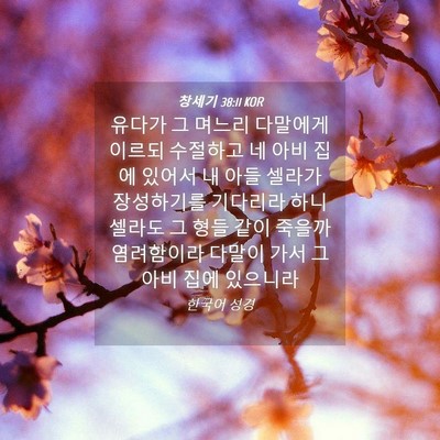 Picture 04 - 창세기 38:11 KOR - 유다가 그 며느리 다말에게 이르되 - Bible Verse Picture