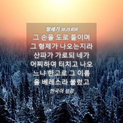 Picture 04 - 창세기 38:29 KOR - 그 손을 도로 들이며 그 형제가 - Bible Verse Picture