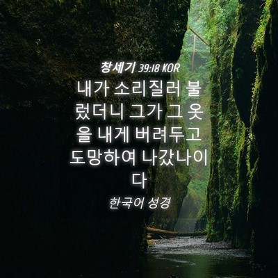 Picture 04 - 창세기 39:18 KOR - 내가 소리질러 불렀더니 그가 그 - Bible Verse Picture