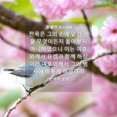 Picture 04 - 창세기 39:23 KOR - 전옥은 그의 손에 맡긴 것을 - Bible Verse Picture