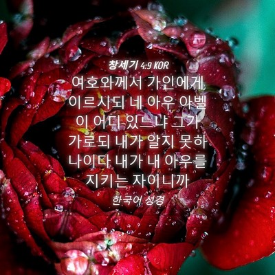 Picture 04 - 창세기 4:9 KOR - 여호와께서 가인에게 이르시되 네 - Bible Verse Picture