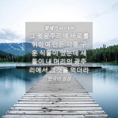 Picture 04 - 창세기 40:17 KOR - 그 윗광주리에 바로를 위하여 만든 - Bible Verse Picture