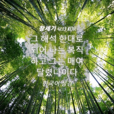 Picture 04 - 창세기 41:13 KOR - 그 해석 한대로 되어 나는 복직하고 - Bible Verse Picture