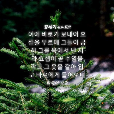 Picture 04 - 창세기 41:14 KOR - 이에 바로가 보내어 요셉을 부르매 - Bible Verse Picture