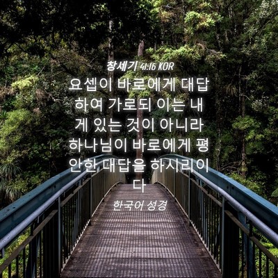 Picture 04 - 창세기 41:16 KOR - 요셉이 바로에게 대답하여 가로되 - Bible Verse Picture