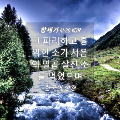 Picture 04 - 창세기 41:20 KOR - 그 파리하고 흉악한 소가 처음의 - Bible Verse Picture