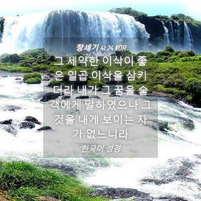 Picture 04 - 창세기 41:24 KOR - 그 세약한 이삭이 좋은 일곱 이삭을 - Bible Verse Picture