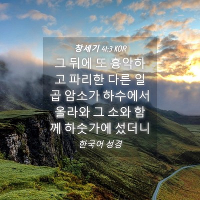 Picture 04 - 창세기 41:3 KOR - 그 뒤에 또 흉악하고 파리한 다른 - Bible Verse Picture