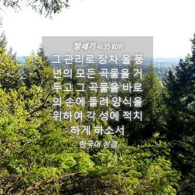 Picture 04 - 창세기 41:35 KOR - 그 관리로 장차 올 풍년의 모든 - Bible Verse Picture