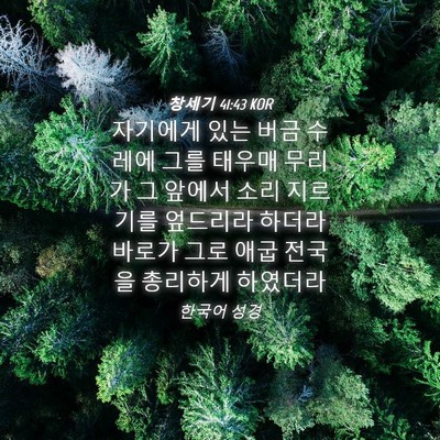 Picture 04 - 창세기 41:43 KOR - 자기에게 있는 버금 수레에 그를 - Bible Verse Picture