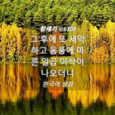 Picture 04 - 창세기 41:6 KOR - 그 후에 또 세약하고 동풍에 마른 - Bible Verse Picture