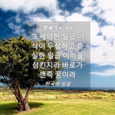 Picture 04 - 창세기 41:7 KOR - 그 세약한 일곱 이삭이 무성하고 - Bible Verse Picture