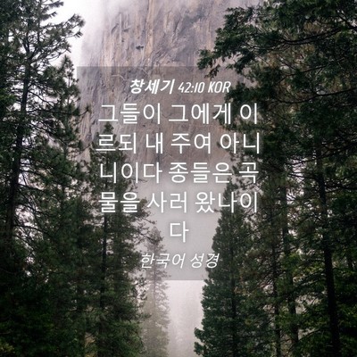 Picture 04 - 창세기 42:10 KOR - 그들이 그에게 이르되 내 주여 - Bible Verse Picture