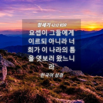 Picture 04 - 창세기 42:12 KOR - 요셉이 그들에게 이르되 아니라 - Bible Verse Picture