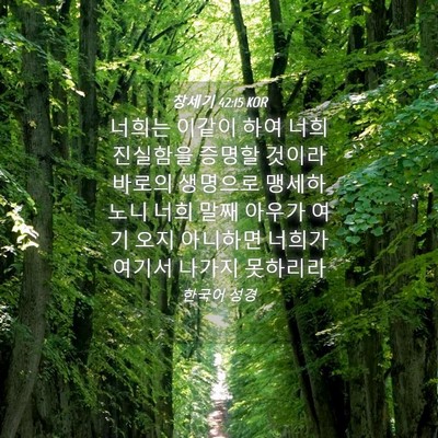 Picture 04 - 창세기 42:15 KOR - 너희는 이같이 하여 너희 진실함을 - Bible Verse Picture