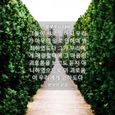 Picture 04 - 창세기 42:21 KOR - 그들이 서로 말하되 우리가 아우의 - Bible Verse Picture