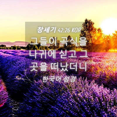 Picture 04 - 창세기 42:26 KOR - 그들이 곡식을 나귀에 싣고 그 곳을 - Bible Verse Picture