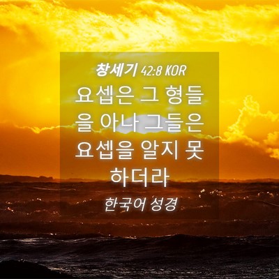 Picture 04 - 창세기 42:8 KOR - 요셉은 그 형들을 아나 그들은 - Bible Verse Picture