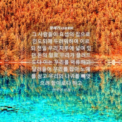 Picture 04 - 창세기 43:18 KOR - 그 사람들이 요셉의 집으로 인도되매 - Bible Verse Picture
