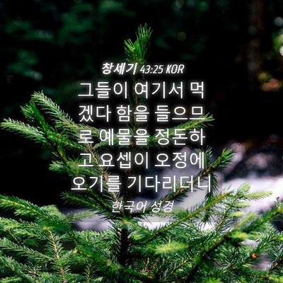 Picture 04 - 창세기 43:25 KOR - 그들이 여기서 먹겠다 함을 들으므로 - Bible Verse Picture