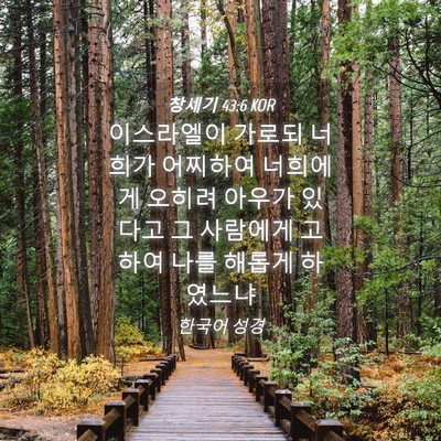 Picture 04 - 창세기 43:6 KOR - 이스라엘이 가로되 너희가 어찌하여 - Bible Verse Picture