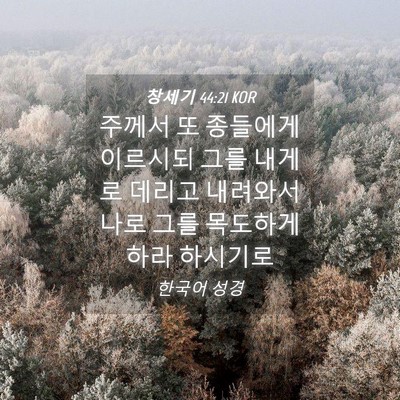 Picture 04 - 창세기 44:21 KOR - 주께서 또 종들에게 이르시되 그를 - Bible Verse Picture