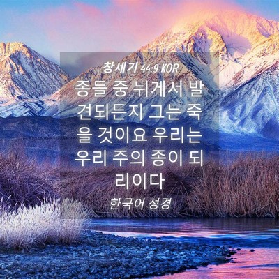 Picture 04 - 창세기 44:9 KOR - 종들 중 뉘게서 발견되든지 그는 - Bible Verse Picture