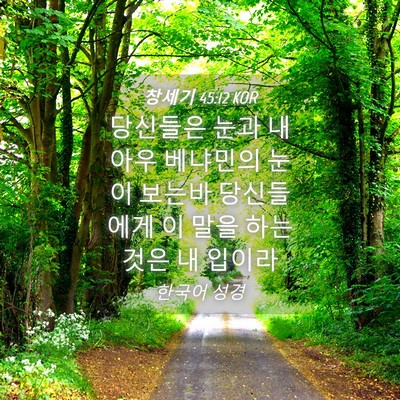 Picture 04 - 창세기 45:12 KOR - 당신들은 눈과 내 아우 베냐민의 - Bible Verse Picture