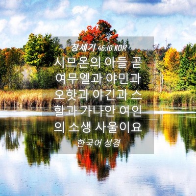 Picture 04 - 창세기 46:10 KOR - 시므온의 아들 곧 여무엘과 야민과 - Bible Verse Picture