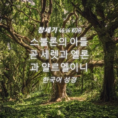 Picture 04 - 창세기 46:14 KOR - 스불론의 아들 곧 세렛과 엘론과 - Bible Verse Picture