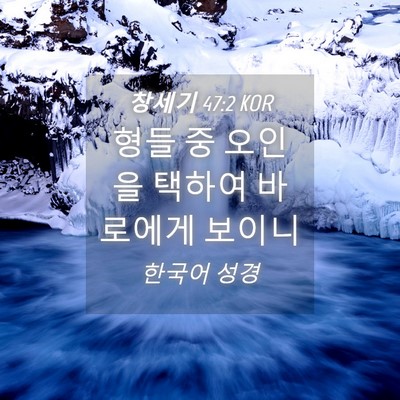 Picture 04 - 창세기 47:2 KOR - 형들 중 오인을 택하여 바로에게 - Bible Verse Picture