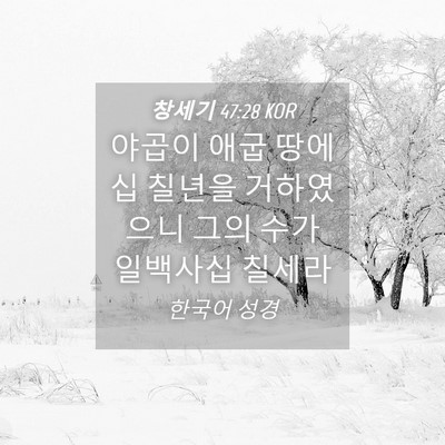 Picture 04 - 창세기 47:28 KOR - 야곱이 애굽 땅에 십 칠년을 - Bible Verse Picture