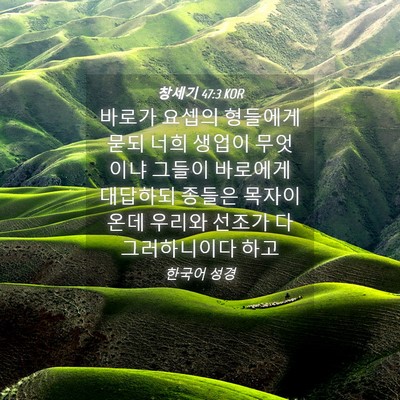 Picture 04 - 창세기 47:3 KOR - 바로가 요셉의 형들에게 묻되 너희 - Bible Verse Picture