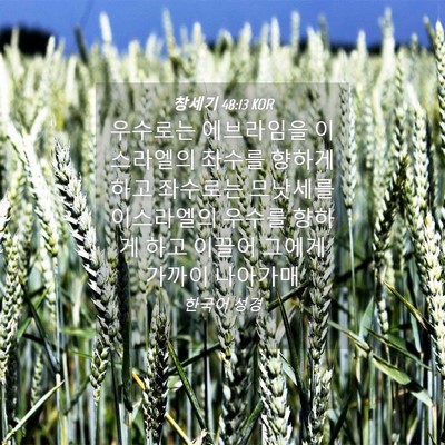 Picture 04 - 창세기 48:13 KOR - 우수로는 에브라임을 이스라엘의 - Bible Verse Picture