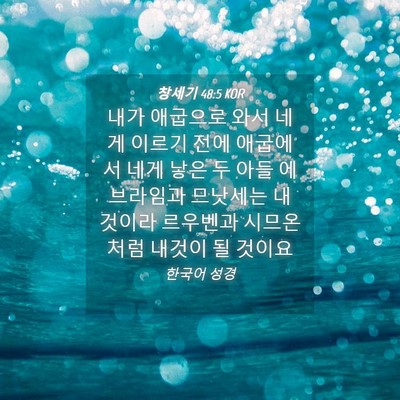 Picture 04 - 창세기 48:5 KOR - 내가 애굽으로 와서 네게 이르기 - Bible Verse Picture