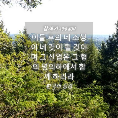 Picture 04 - 창세기 48:6 KOR - 이들 후의 네 소생이 네 것이 될 - Bible Verse Picture