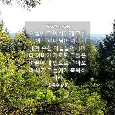 Picture 04 - 창세기 48:9 KOR - 요셉이 그 아비에게 고하되 이는 - Bible Verse Picture