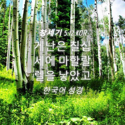 Picture 04 - 창세기 5:12 KOR - 게난은 칠십세에 마할랄렐을 - Bible Verse Picture