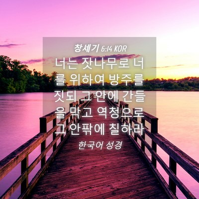 Picture 04 - 창세기 6:14 KOR - 너는 잣나무로 너를 위하여 방주를 - Bible Verse Picture