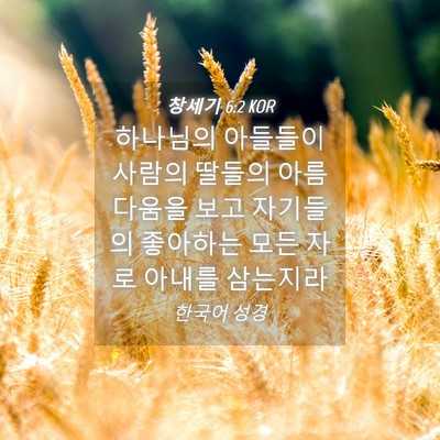 Picture 04 - 창세기 6:2 KOR - 하나님의 아들들이 사람의 딸들의 - Bible Verse Picture